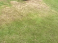 20170408_105712