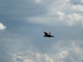 DSCF4284